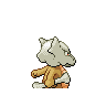 marowak