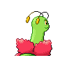 meganium