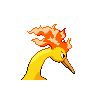 moltres