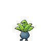 oddish