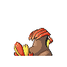 pidgeotto