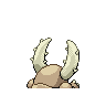 pinsir
