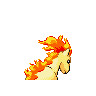 ponyta