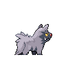 poochyena