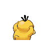 psyduck