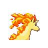 rapidash