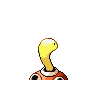 shuckle