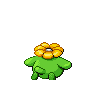skiploom