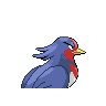 swellow