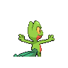 treecko