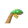 tropius