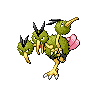 dodrio
