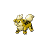 growlithe