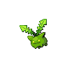hoppip