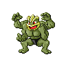 machamp