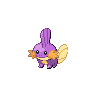 mudkip