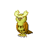 noctowl