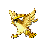 pidgeot