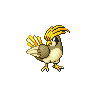 pidgeotto