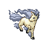 rapidash