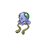 tentacool