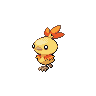 torchic