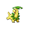 bayleef