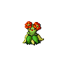 bellossom