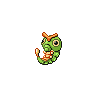 caterpie