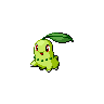chikorita