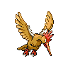 fearow