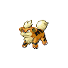 growlithe