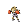 hitmonchan