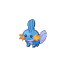 mudkip