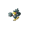 murkrow