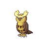 noctowl