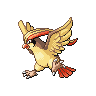 pidgeot