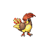 pidgeotto