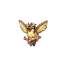 pidgey
