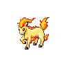 ponyta