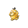 psyduck