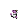 rattata