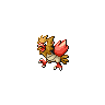 spearow
