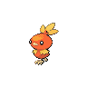 torchic