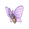 venomoth