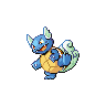 wartortle