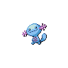 wooper