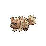zigzagoon