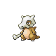 cubone
