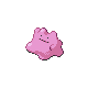 ditto
